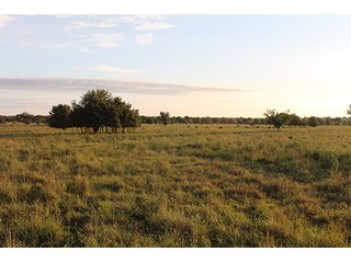 Tract 7 - LAND AUCTION - 440+/- Acres offered in 15 Tracts in Tulsa County